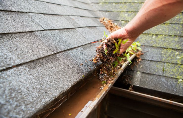 10 Warning Signs Your Gutters Need Cleaning in Chicago