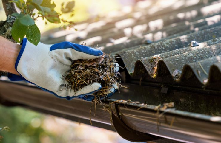 Gutter Cleaning Services Near Me in Chicago IL