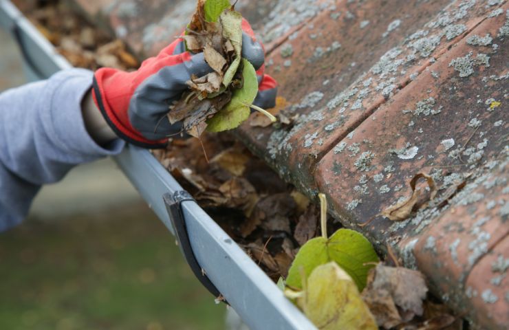 Residential & Commercial Gutter Cleaning in Chicago IL