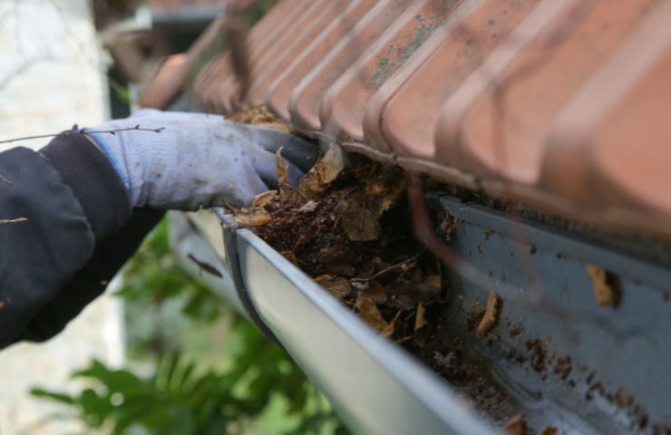 Signs Your Gutters Need Immediate Cleaning in Chicago